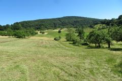 2016 Neckarsteig 04175