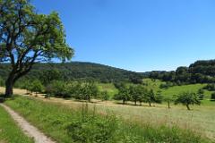 2016 Neckarsteig 04195