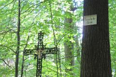 2016 Neckarsteig 04415