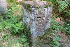 2016 Neckarsteig 04455