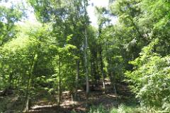 2016 Neckarsteig 04515