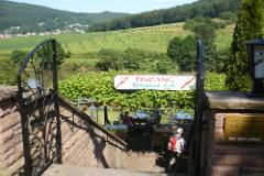 2016 Neckarsteig 04585