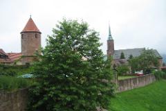 2016 Neckarsteig 04815