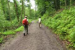 2016 Neckarsteig 04835