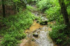 2016 Neckarsteig 04855