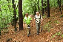 2016 Neckarsteig 04915