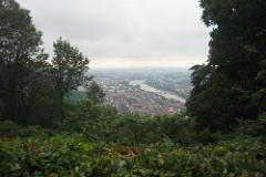 2016 Neckarsteig 05135