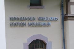 2016 Neckarsteig 05155